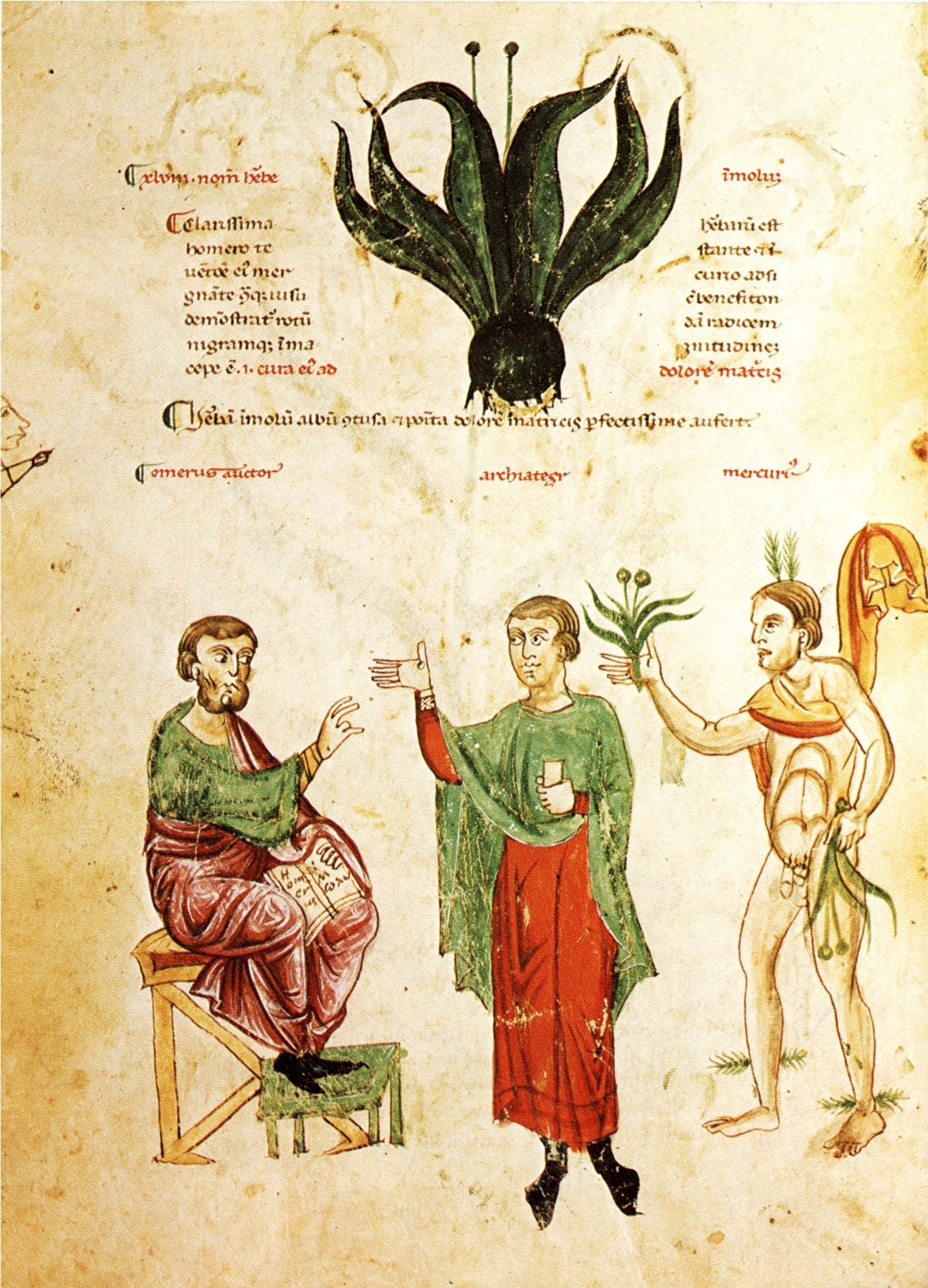 Pillole di Folklore # 4 – Il mistero dell’erba&nbsp;Moly