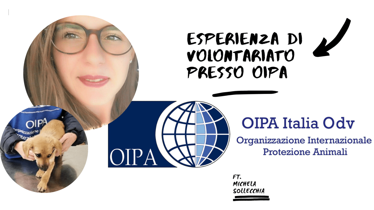 Esperienza di volontariato presso l’OIPA ft. Michela&nbsp;Sollecchia