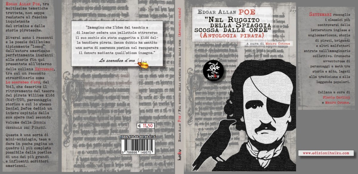 La copertina di "Nel ruggito della spiaggia scossa dalle onde"