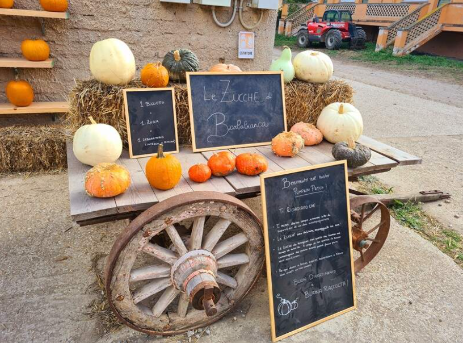 Magia d’autunno: la nostra esperienza al Pumpkin Patch, il giardino delle&nbsp;zucche