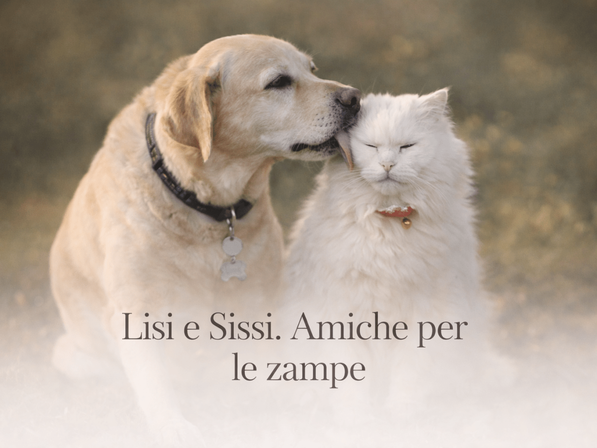Lisi e Sissi. Amiche per le zampe – Quando il mondo visto da quattro zampe è più chiaro del&nbsp;nostro